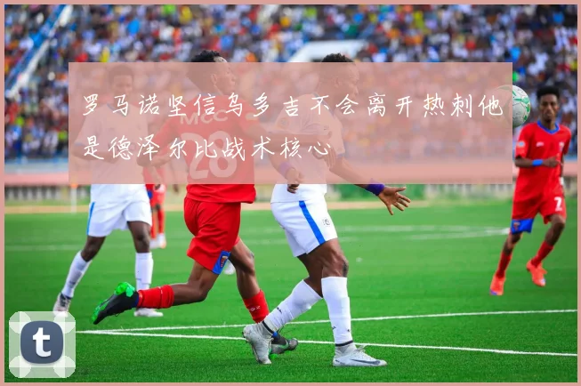 罗马诺坚信乌多吉不会离开热刺他是德泽尔比战术核心