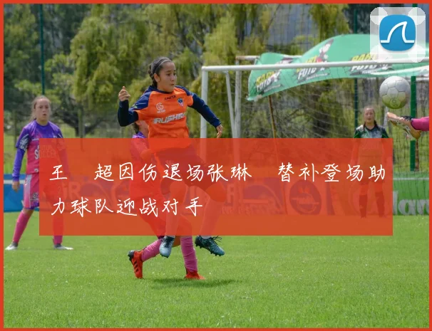 王燊超因伤退场张琳芃替补登场助力球队迎战对手