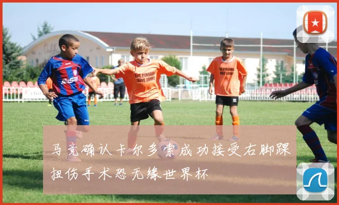 马竞确认卡尔多索成功接受右脚踝扭伤手术恐无缘世界杯